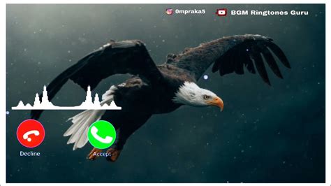 eagle ringtone|eagle sound ringtone free download.